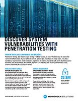 Penetration Testing Solutions Brief