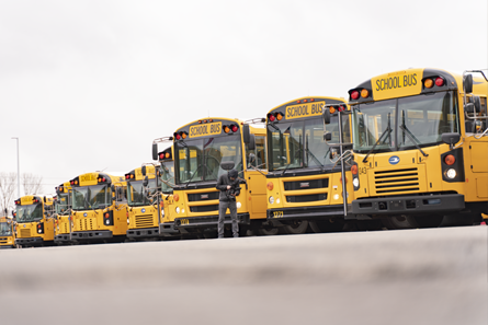 Row of yellow school buses parked outdoors