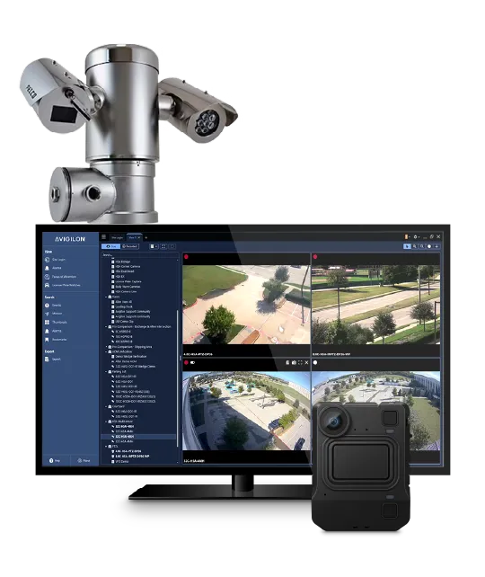 固定ビデオおよびアクセス制御