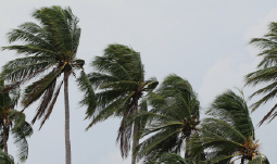 Disaster preparedness checklist