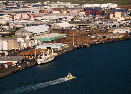 Port of Tauranga