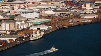 Port of Tauranga