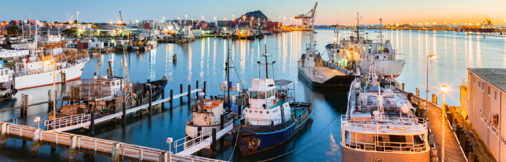 Port of Tauranga, Bay of Plenty, New Zealand