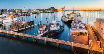 Port of Tauranga, Bay of Plenty, New Zealand