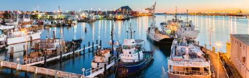 Port of Tauranga, Bay of Plenty, New Zealand
