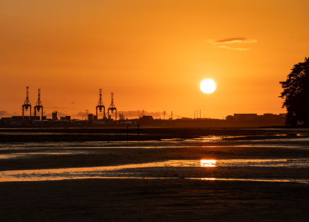 Port of Tauranga at early sunrise in New Zealand