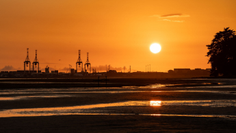 Port of Tauranga at early sunrise in New Zealand