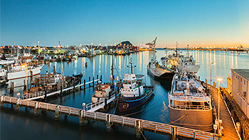 Elevating safety at the Port of Tauranga 
