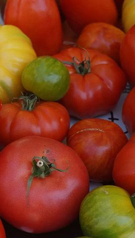 A display of tomatoes 