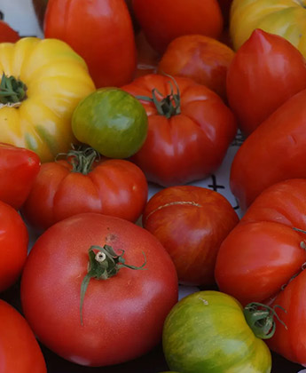 A display of tomatoes 