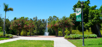 The University of South Florida outside campus