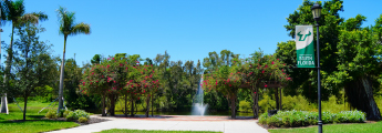 The University of South Florida outside campus