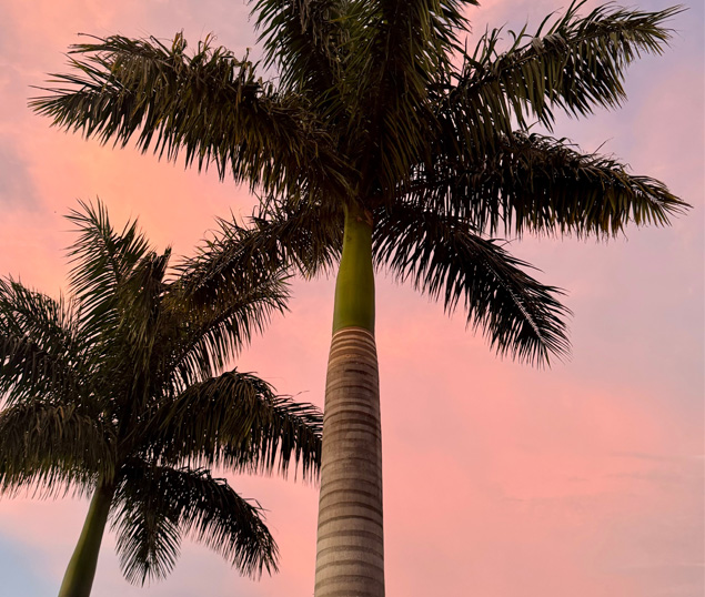 Aerial view of Tampa, Florida