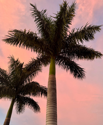 Aerial view of Tampa, Florida