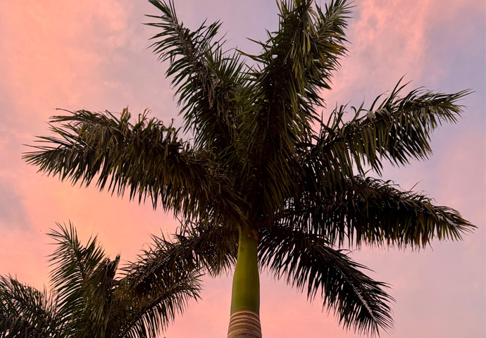 Aerial view of Tampa, Florida