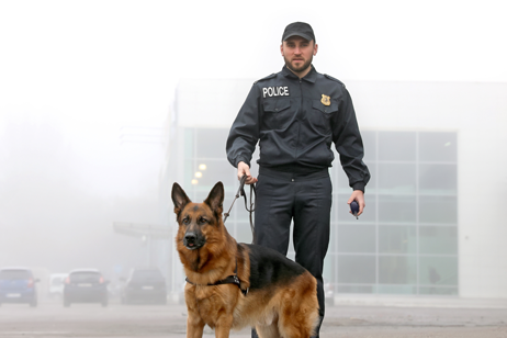 Police officer with K9 dog