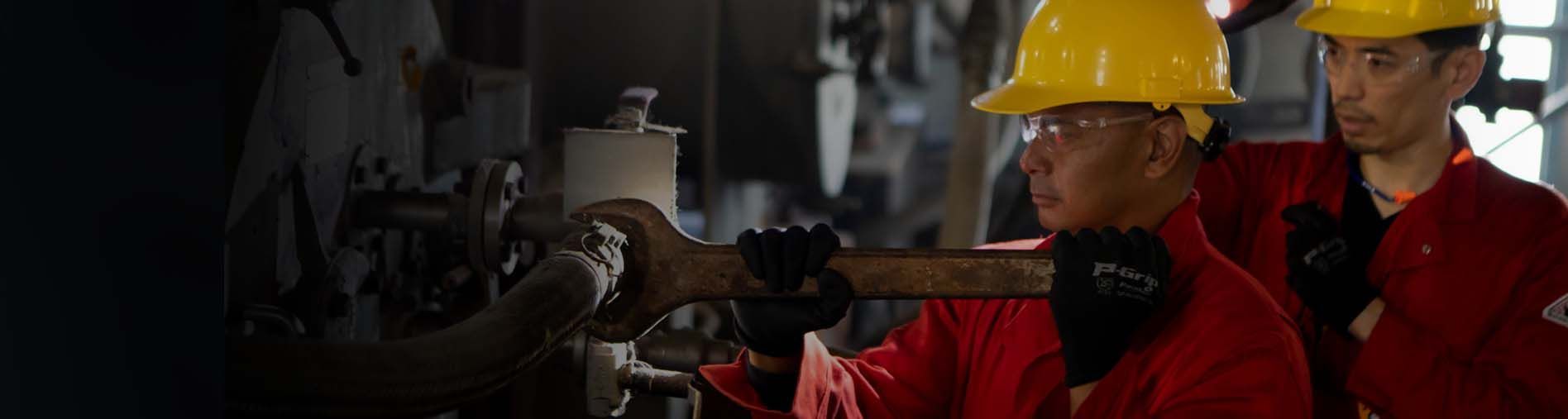 Oil and gas free radio inspection campaign