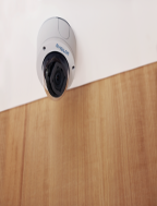 Fixed Video Security Systems