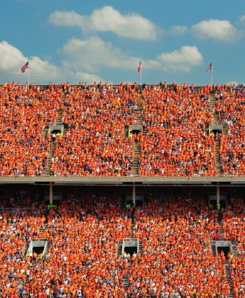 Stadium crowd cheering