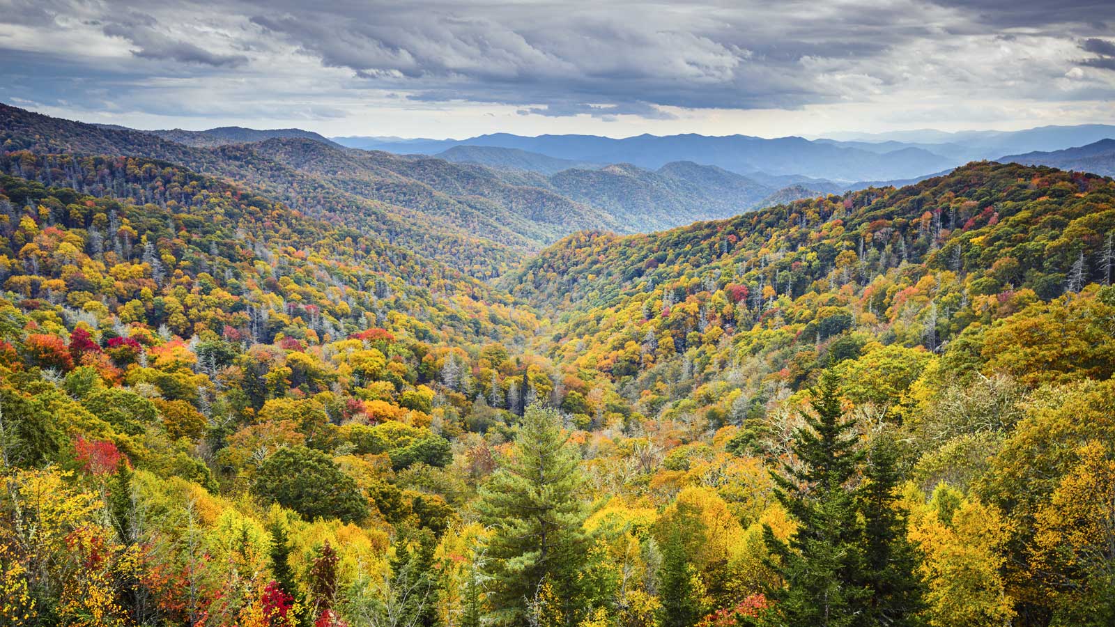 WHEN LIVES ARE ON THE LINE, COVERAGE MATTERS