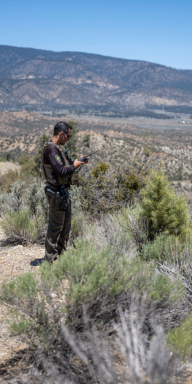 Motorola Solutions Extends Resilient, Mission-Critical Communications and AI with T-Satellite from T-Mobile