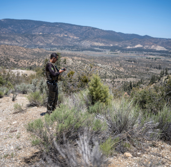 Motorola Solutions Extends Resilient, Mission-Critical Communications and AI with T-Satellite from T-Mobile