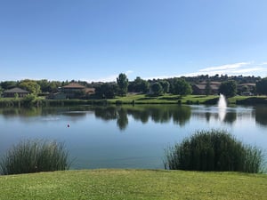 A lake with houses - photographed by Richard N Horne