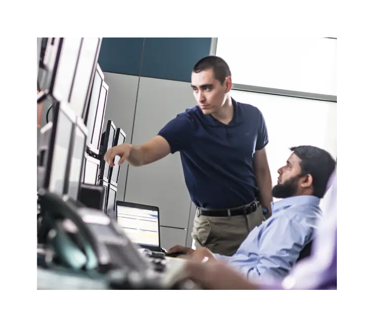 Professional & system integration services