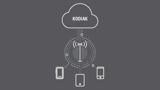 KODIAK Broadband Pus