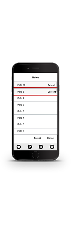 User Role Selection